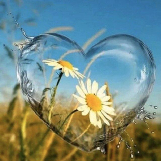 CG-4VR (143)🤠💜 post 3