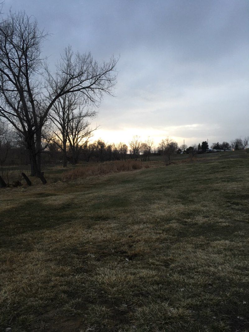 walking near me in Bell Roth Park in winter