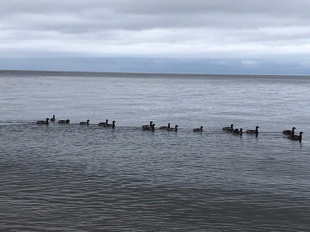 walking near me in Wildwood State Park in winter