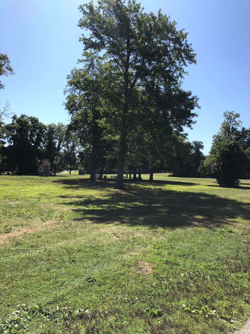 walking near me in Belmont Lake State Park in winter