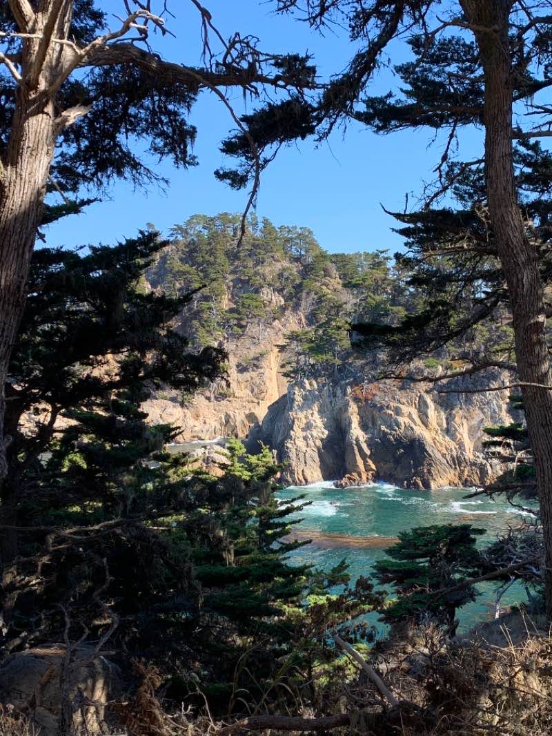 walking near me in Point Lobos State Natural Reserve in winter
