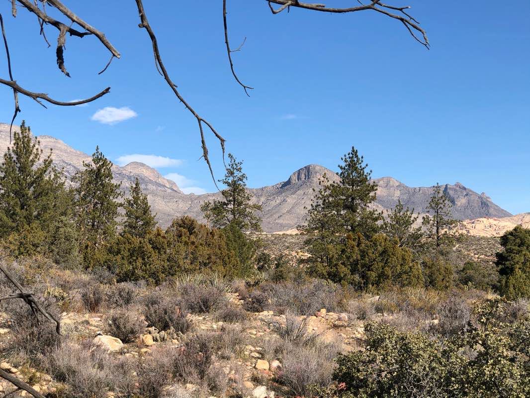 walking near me in Rainbow Mountain Wilderness in winter