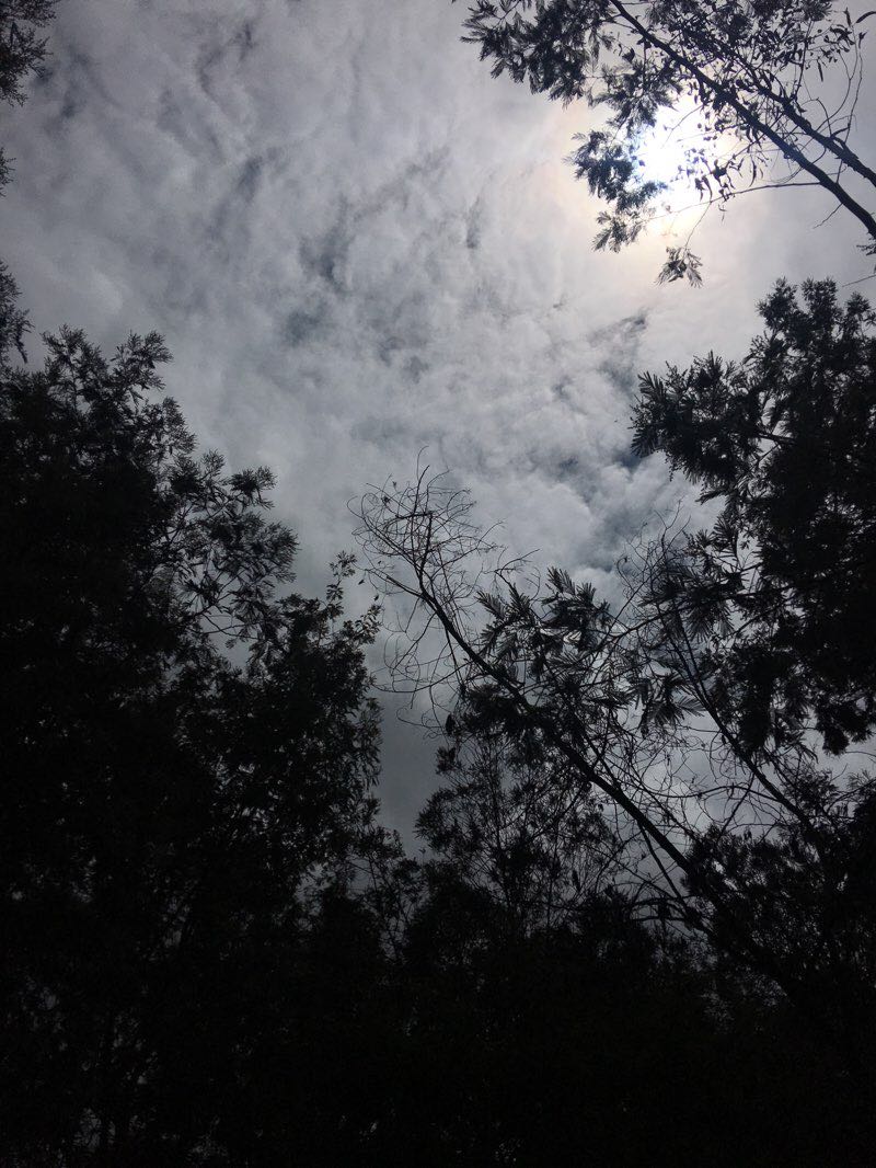 walking near me in Parque San Carlos in winter