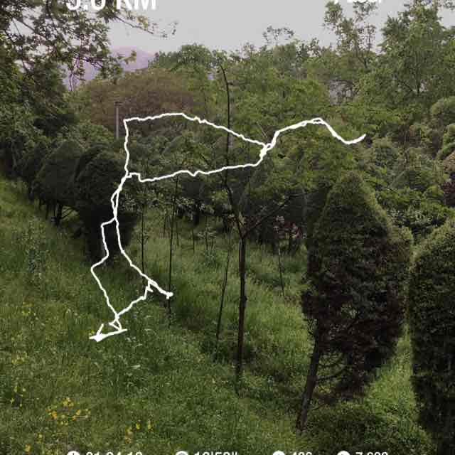 masoud_nasehipour post 1