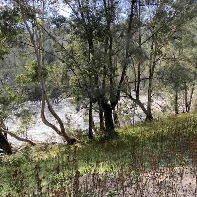 rachaelsaraaskew post 3