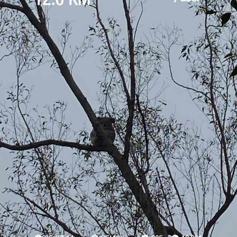 rachaelsaraaskew post 1