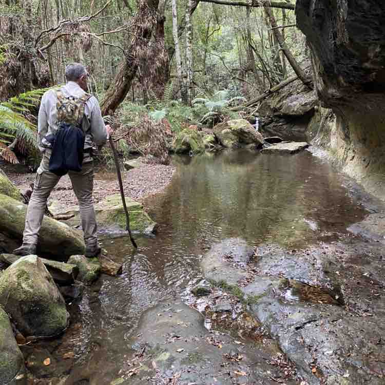 rachaelsaraaskew post 3