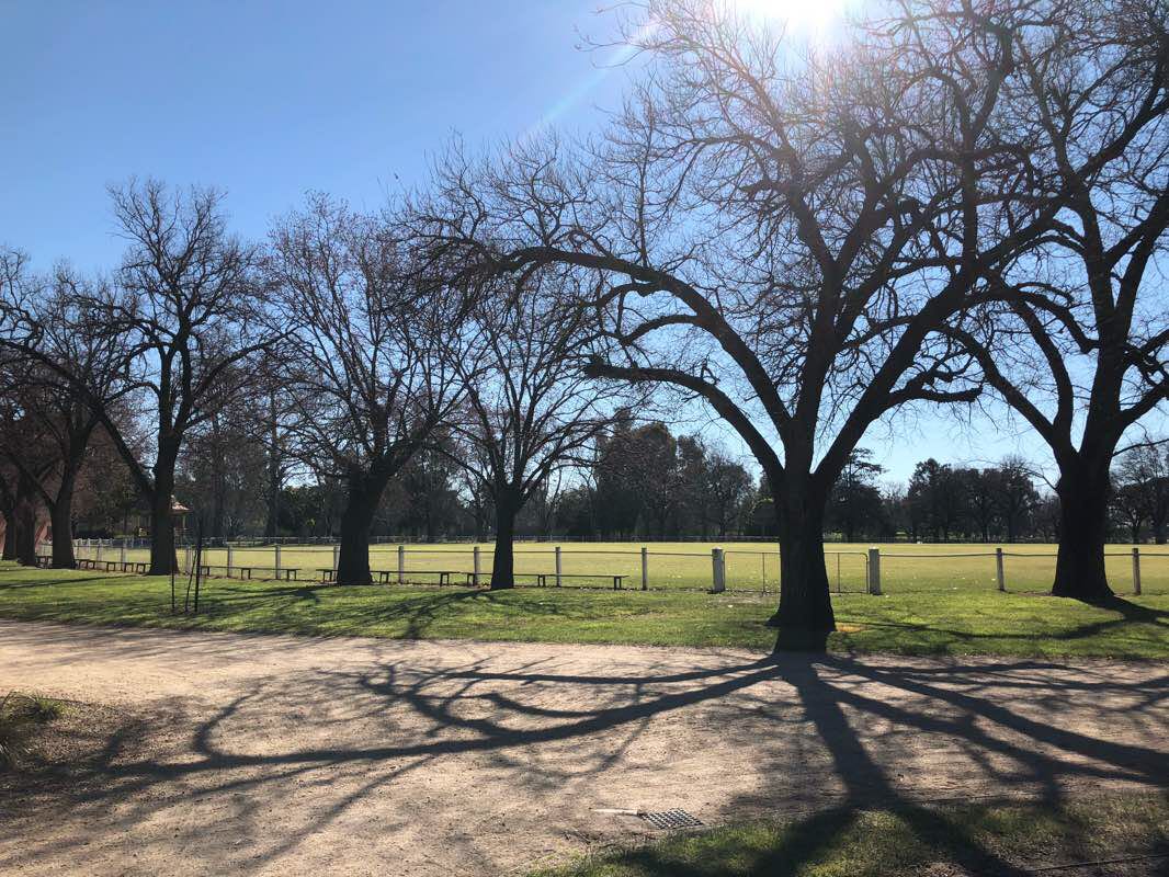 walking near me in Benalla Botanical Gardens in summer