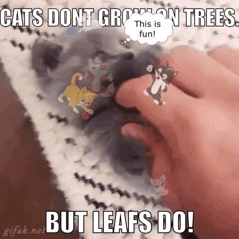 epicperson 23 post 1