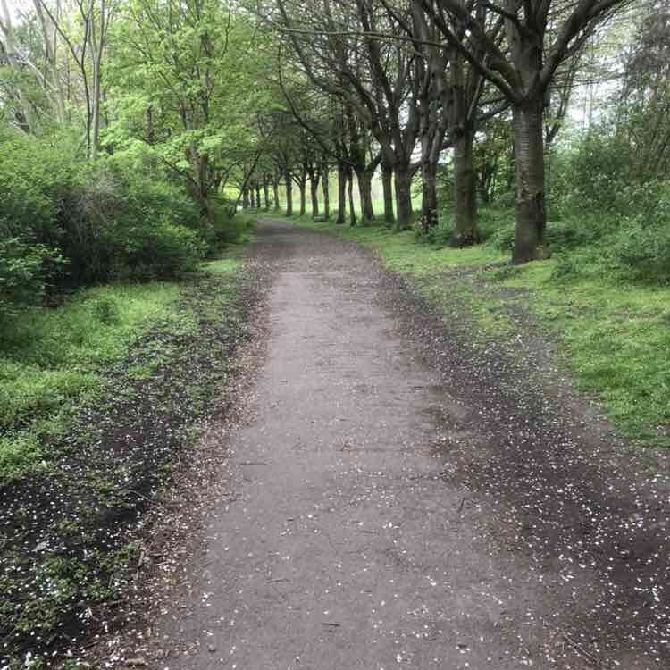 Callum Charles post 1