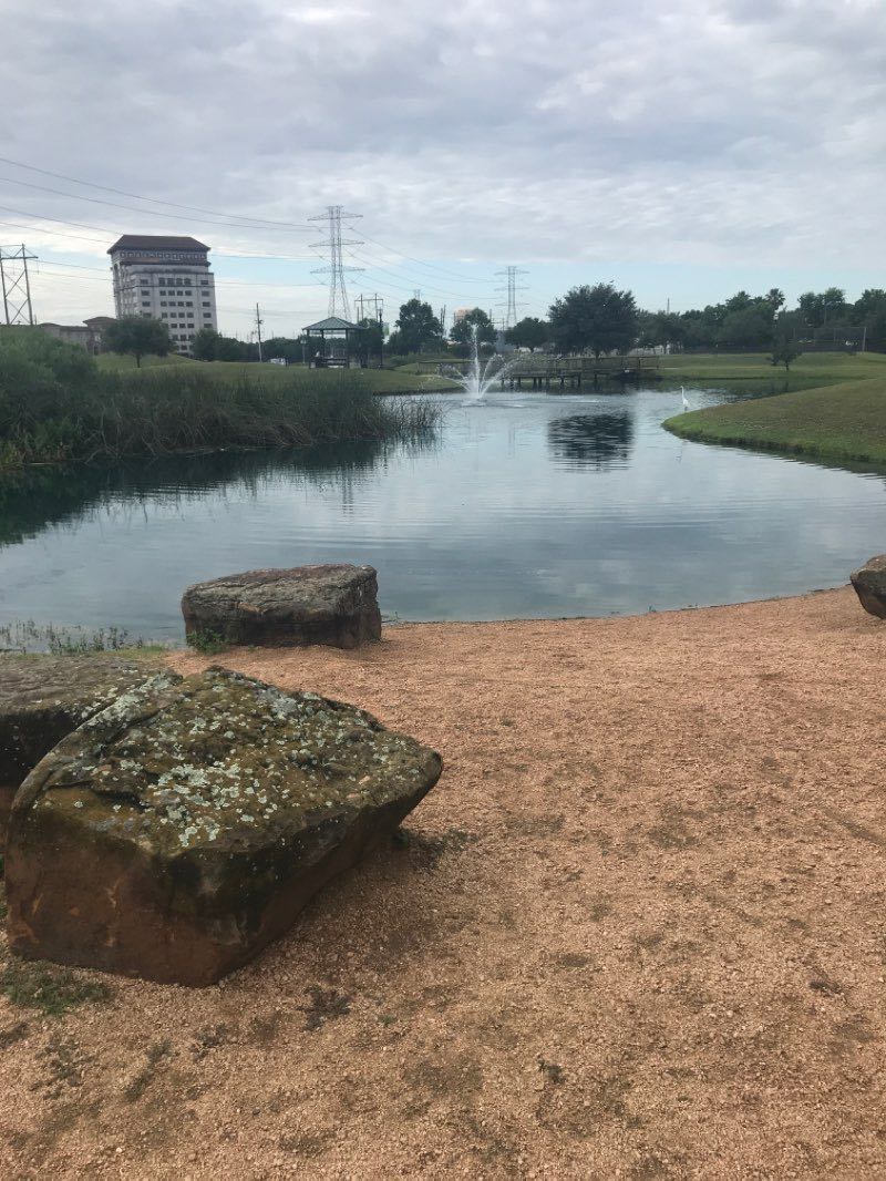 walking near me in Mark McGrath Municipal Park in winter