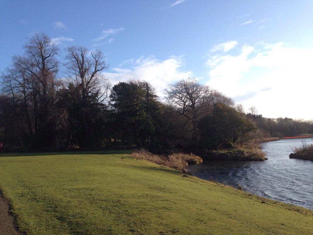 walking near me in Hardwick Park in winter