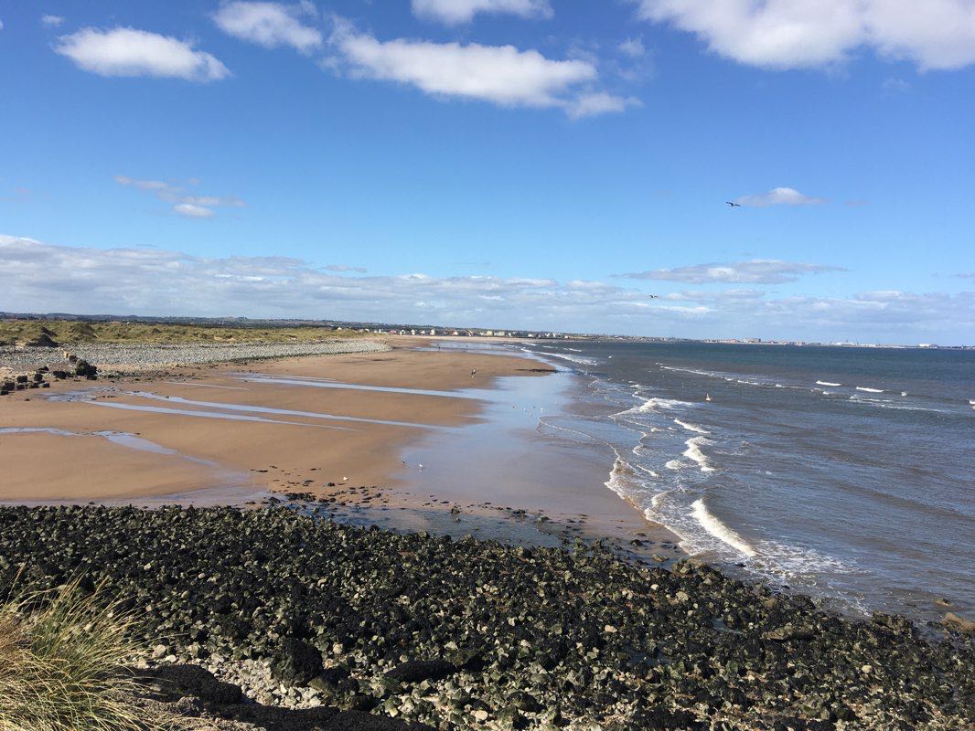 walking near me in Seaton Dunes and Common Local Nature Reserve in winter