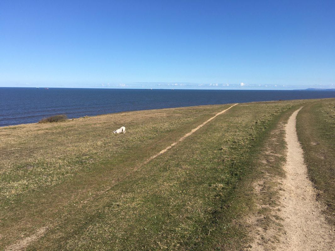 walking near me in Blackhall Grasslands Local Nature Reserve in winter