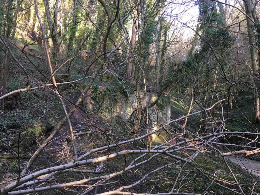 walking near me in Durham Coast National Nature Reserve in winter