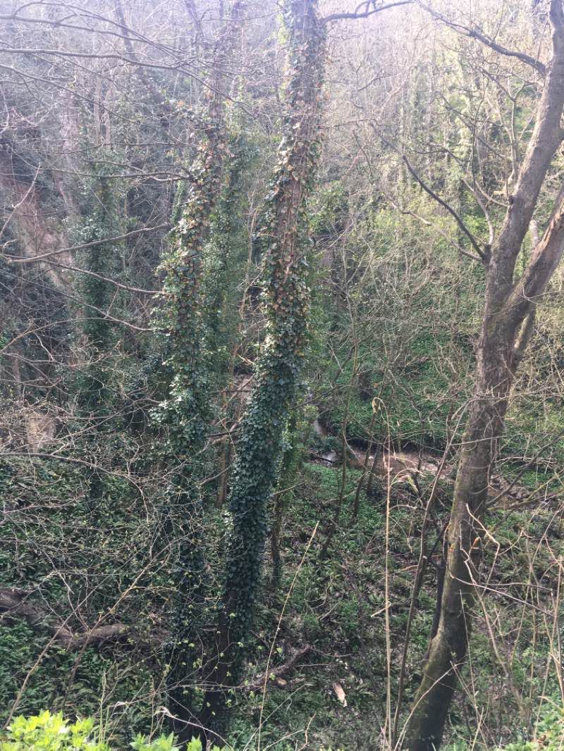 walking near me in Easington Local Nature Reserve in winter