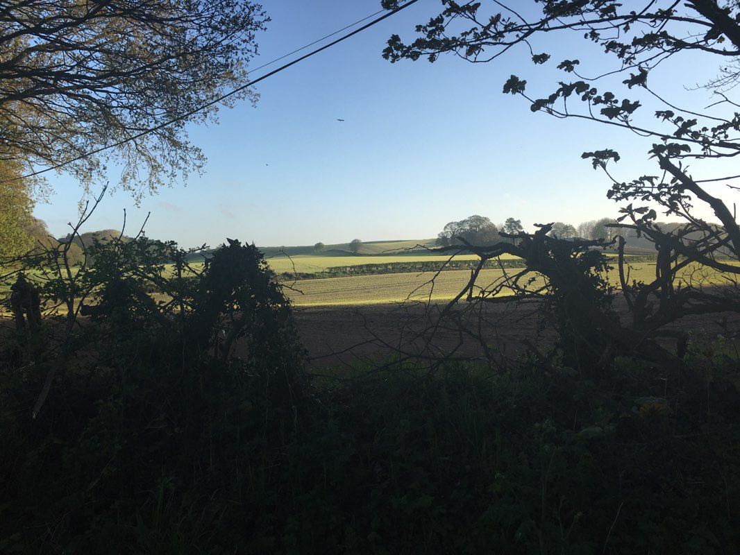 walking near me in Swan Pool Park in winter