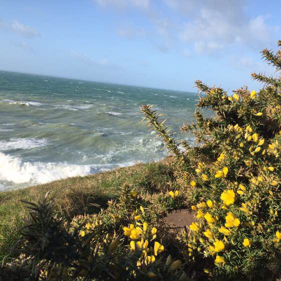 azenathalie1603 post 3