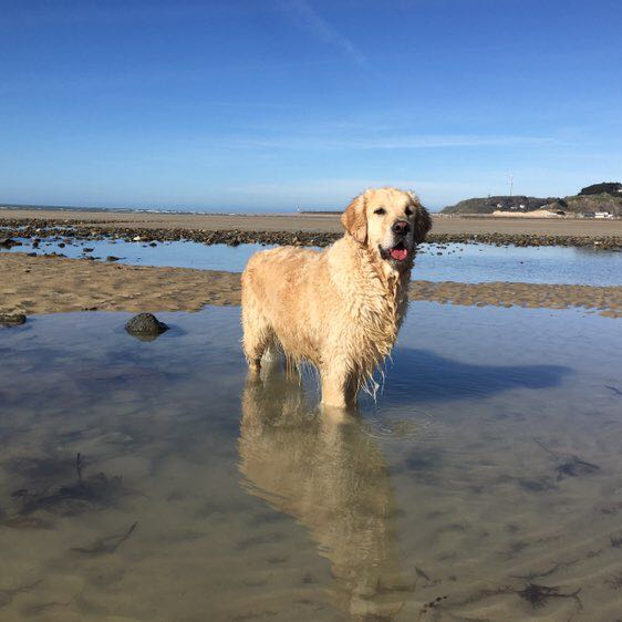 azenathalie1603 post 2