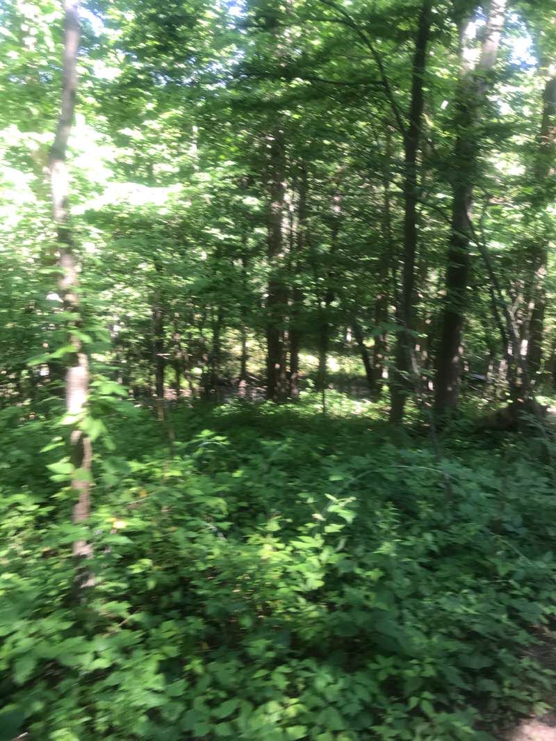 walking near me in Rollin T Grant Gulf Wilderness Park in winter