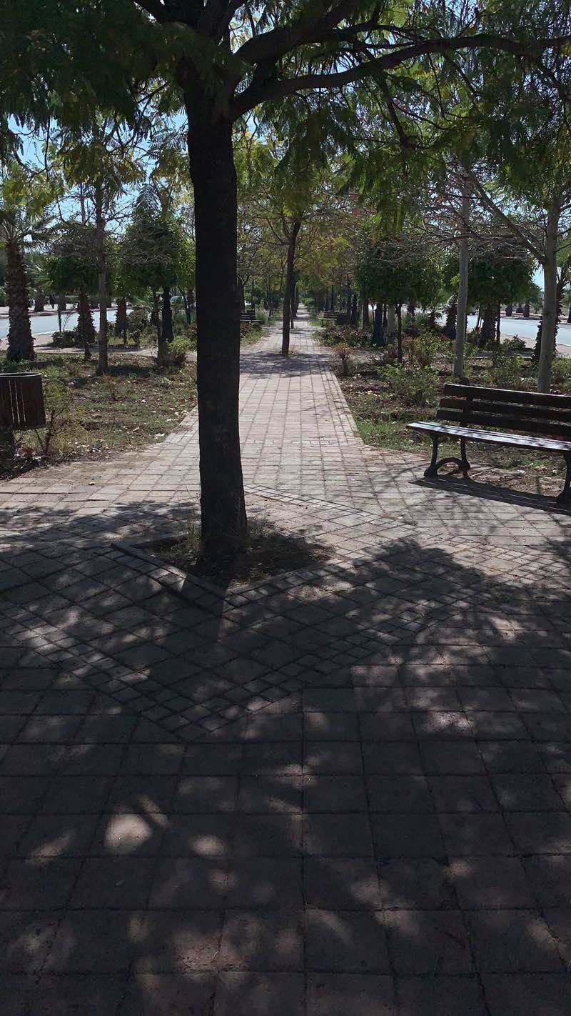 walking near me in Place El Mourabitene in winter