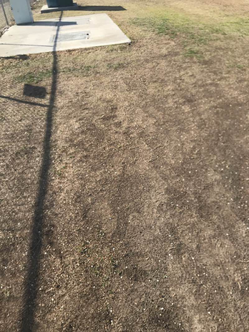 walking near me in Patriots Park in winter