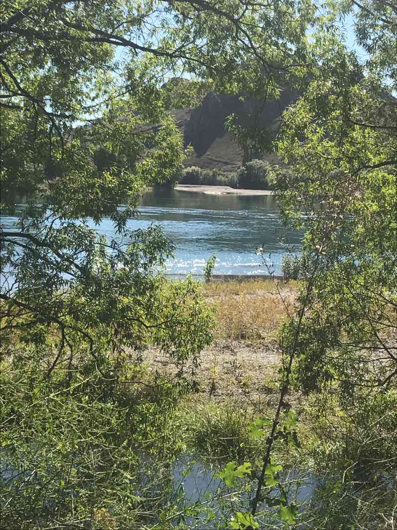 walking near me in Pioneer Park in summer