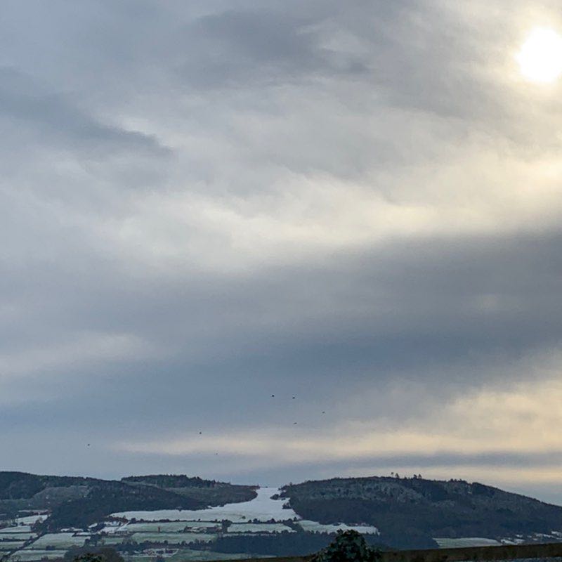 Linda 🇮🇪 post 1