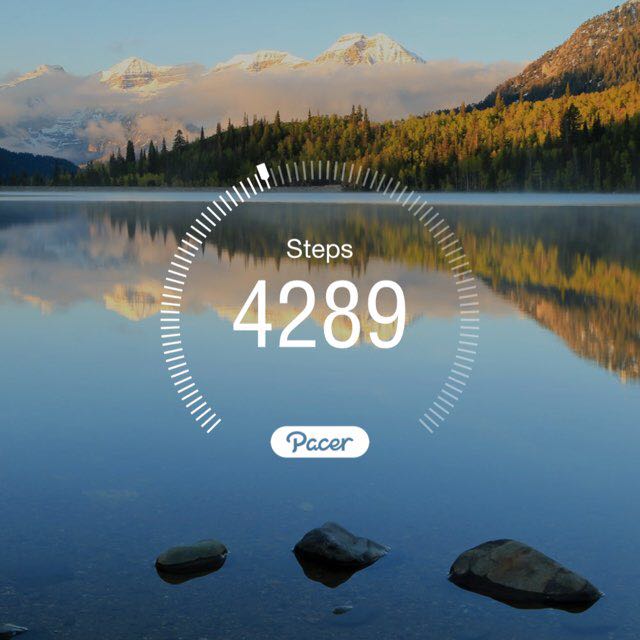 PacerGuy_1995 post 1