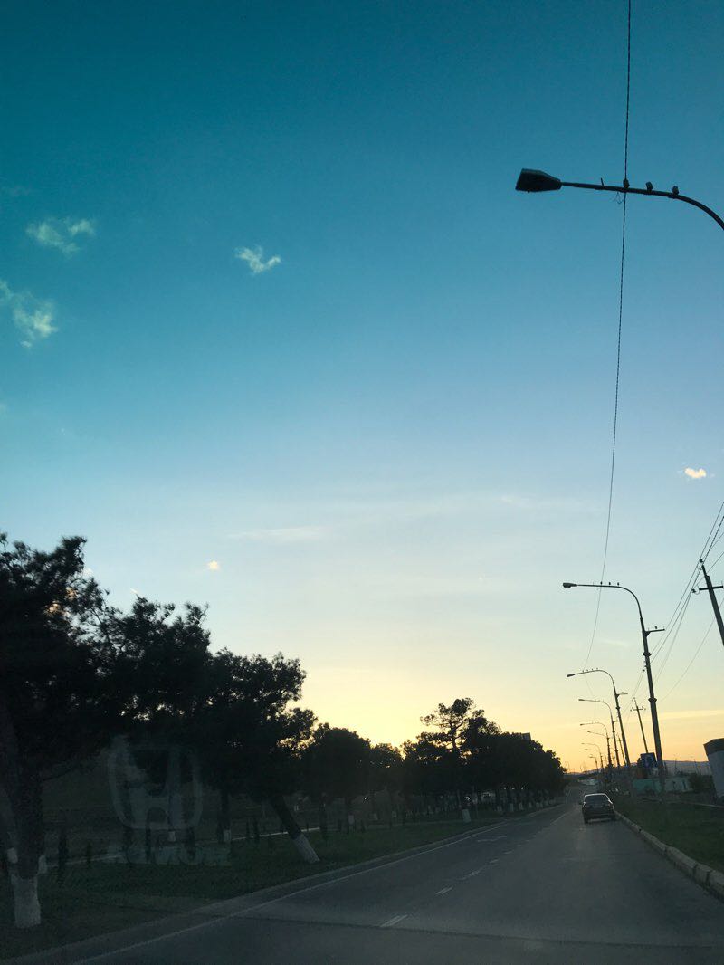 walking near me in ახალგაზრდობის ბაღი in winter