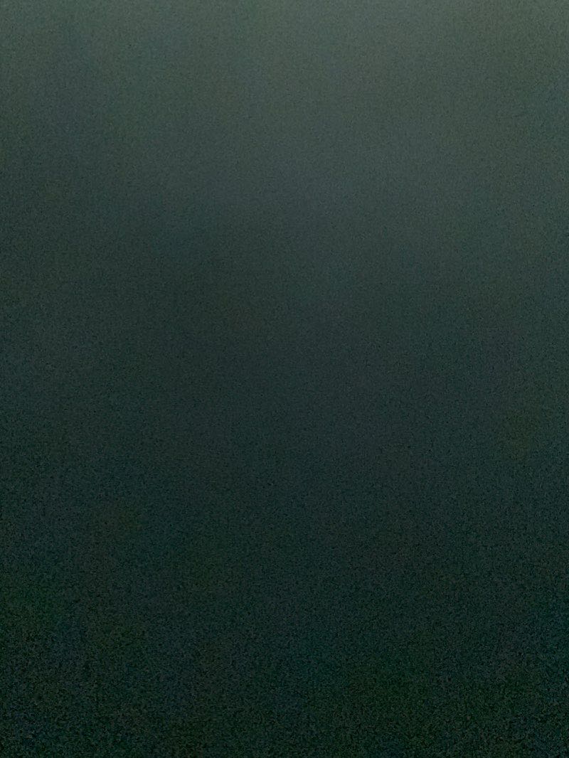 walking near me in Amlidih garden in winter