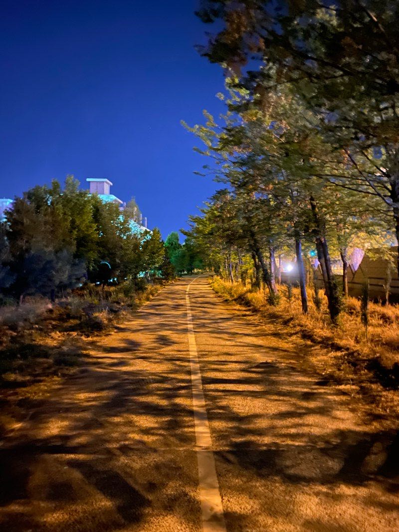 walking near me in پارکی ئازادی in winter
