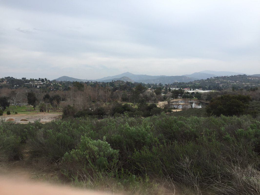 walking near me in Kit Carson Park in winter