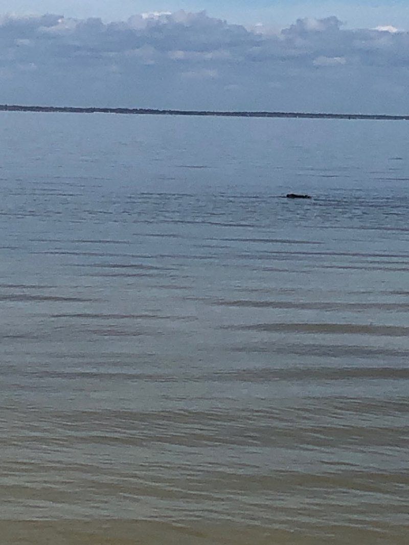 walking near me in Lil' Shark Park in winter