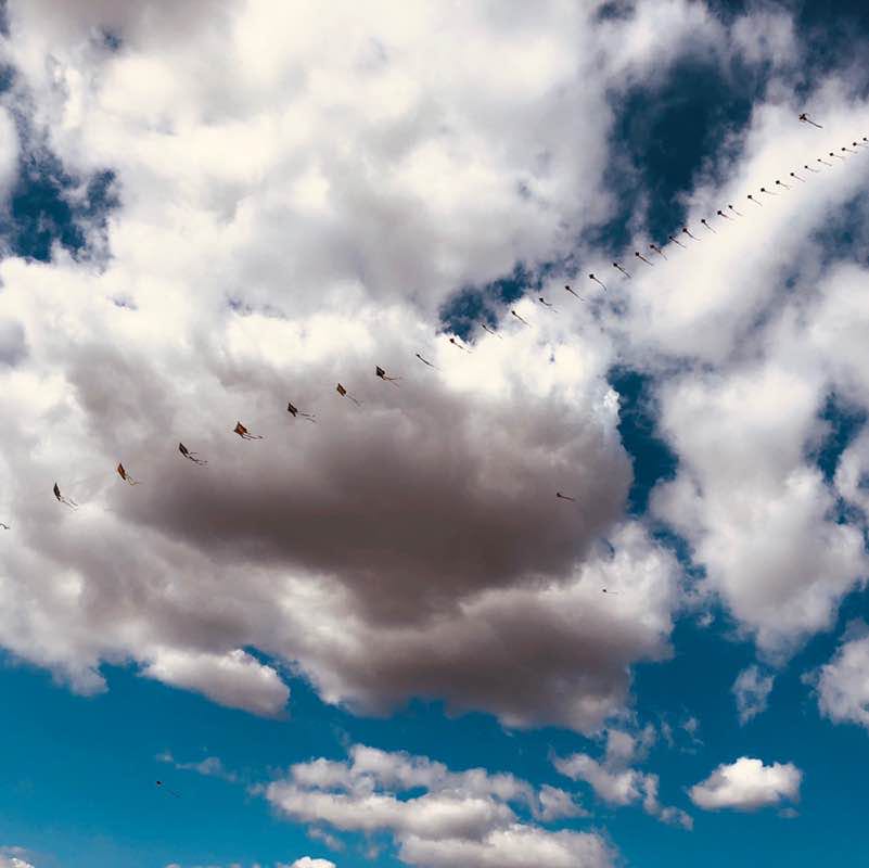 첨지선생(늘... 행복하세요!!!) post 1