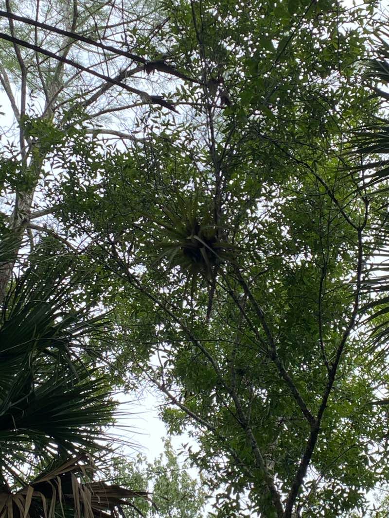 walking near me in Riverbend Park in winter