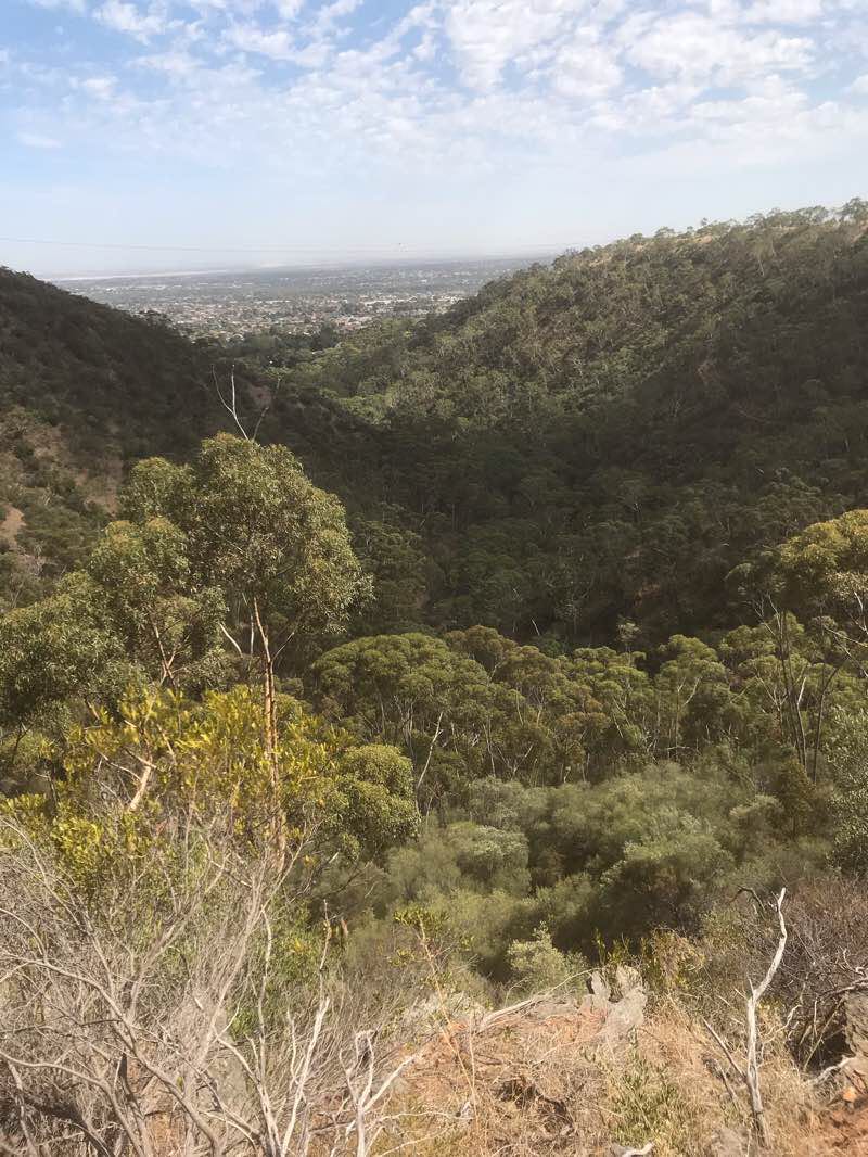walking near me in Morialta Conservation Park in summer
