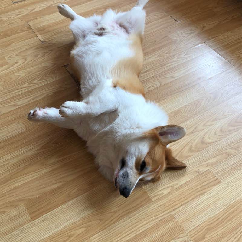 Александр🏂🤼‍♂️_💃🕺 post 1