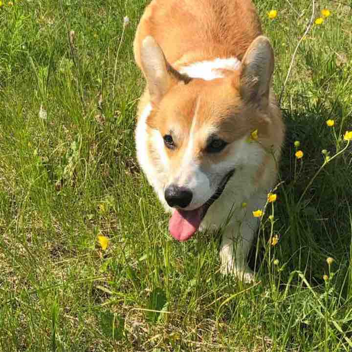 Александр🏂🤼‍♂️_💃🕺 post 1