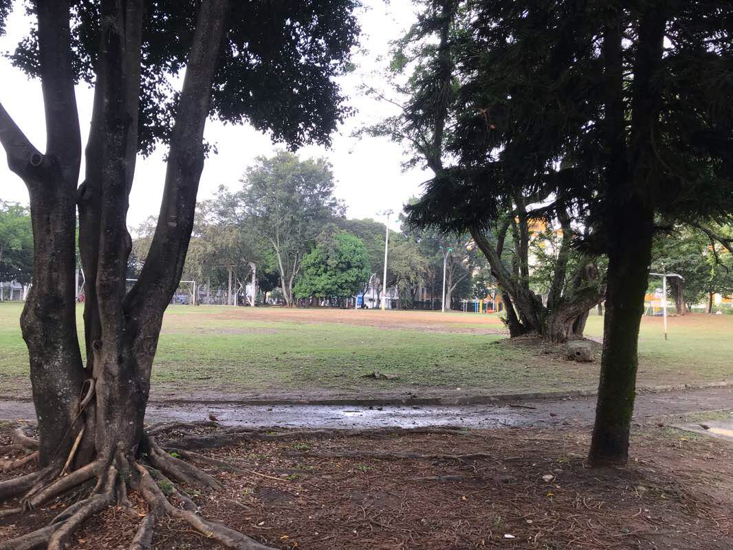 walking near me in Parque Colseguros in winter