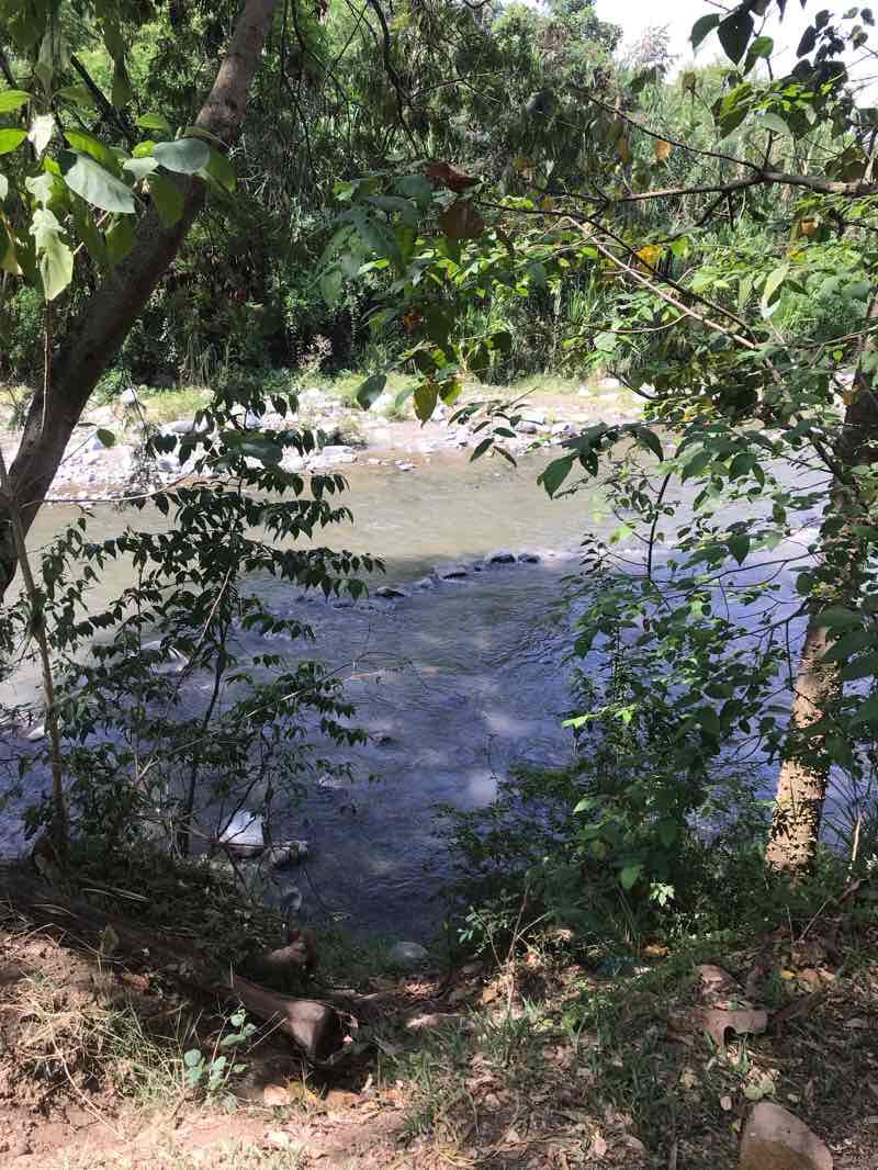 walking near me in parque bio saludable in winter