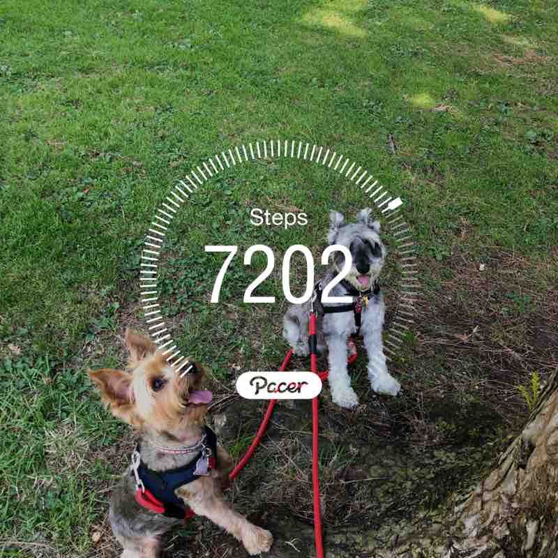 PacerGuy_1978 post 1