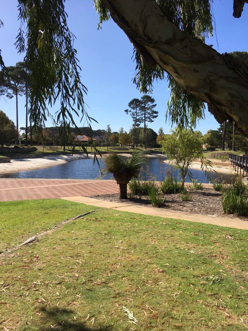 walking near me in Forrest View Park South in summer