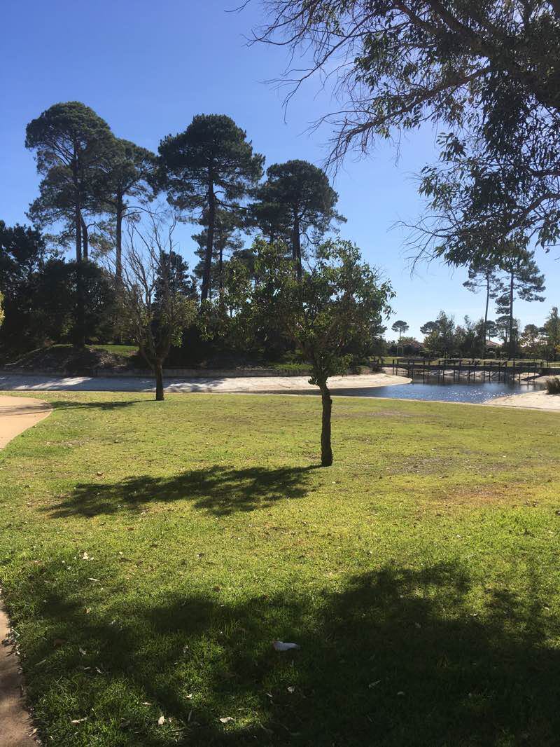 walking near me in Forrest View Park North in summer