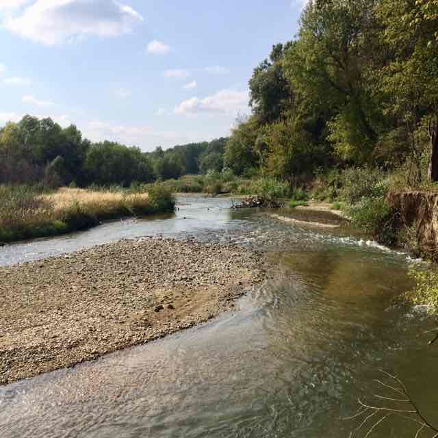 Pacer Владимир Попов . Мне 60 лет. В течении 2019 года  сбросил 40 кг. post 1