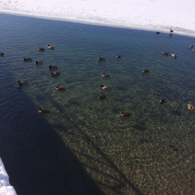 Pacer Владимир Попов . Мне 60 лет. В течении 2019 года  сбросил 40 кг. post 3