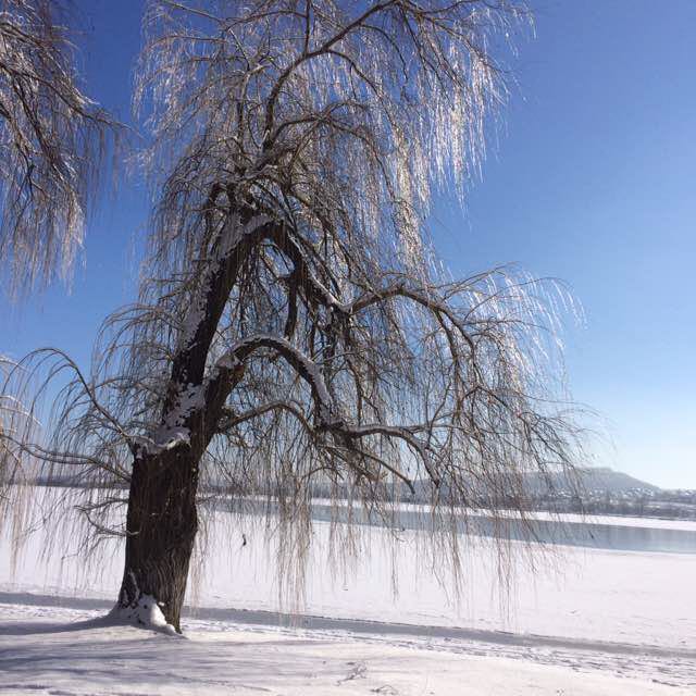 Pacer Владимир Попов . Мне 60 лет. В течении 2019 года  сбросил 40 кг. post 2