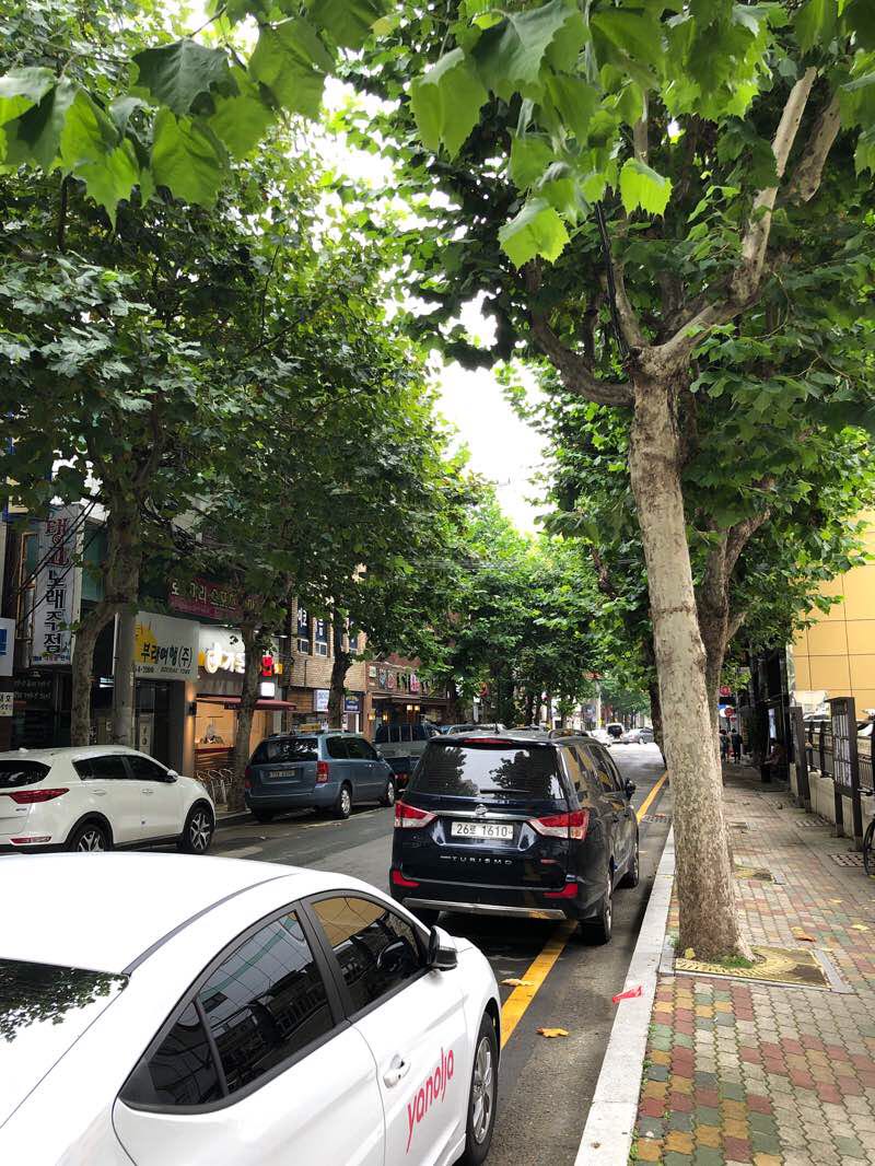 walking near me in 복병산 공원 in winter