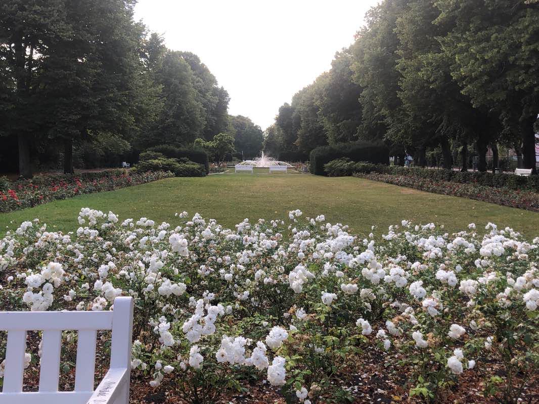 walking near me in Rosengarten in winter