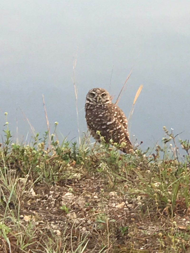 walking near me in Highland Park in winter